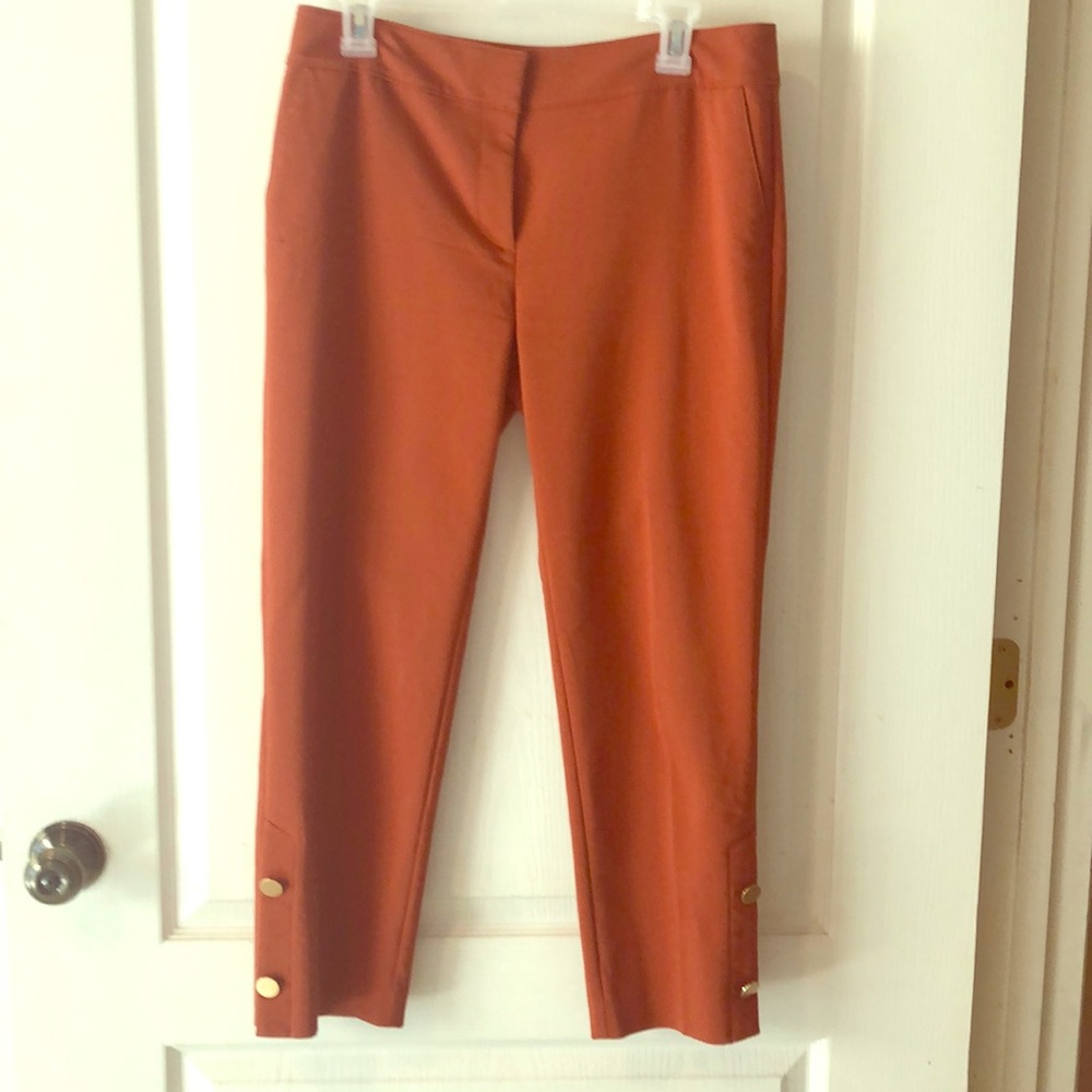 Ann Taylor Burnt Orange ankle slacks